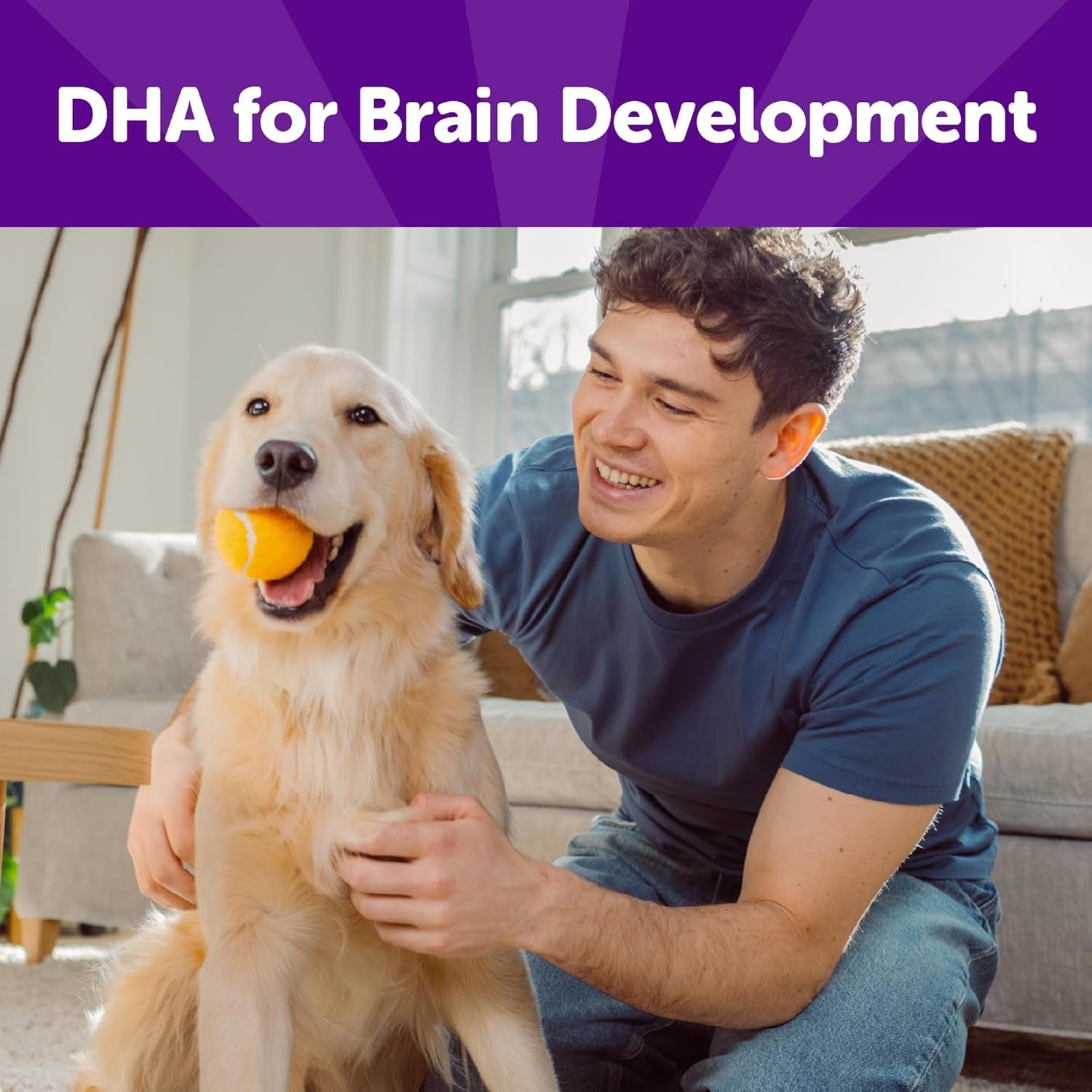 Rewarding Life Dog Treats, Natural, Training Treat, Grain Free, Soft Chicken & Lamb (6 Ounce Bag)