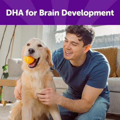 Rewarding Life Dog Treats, Natural, Training Treat, Grain Free, Soft Chicken & Lamb (6 Ounce Bag)