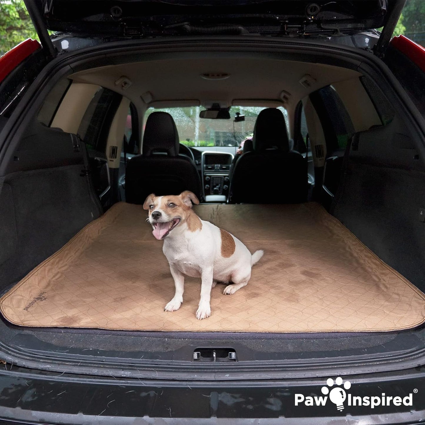 Washable Pee Pads for Dogs | Leakproof, Non-Slip Reusable Puppy Pads for Potty Training, Whelping, Waterproof Mat (48X60 Size, Pack of 1)