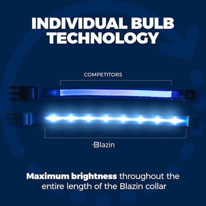 Light up Dog Collar - the Original LED Dog Collar - USB Rechargeable - Waterproof - 1,000 Feet of Visibility - Dog Collar Light for Small, Medium, Large Dogs - US Brand