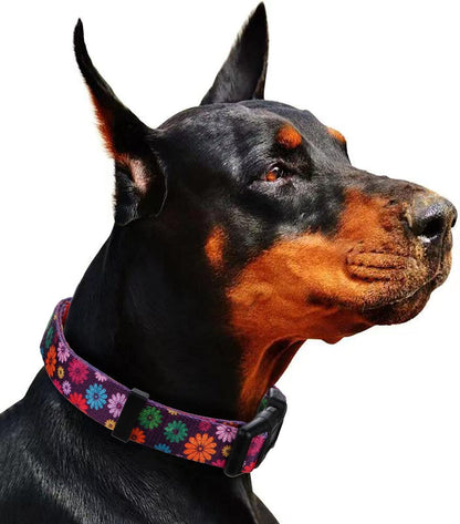 Girl Dog Collars Fall Daisy Pattern, Colorful Flowers Print, Female Collar, Dark Purple, Large