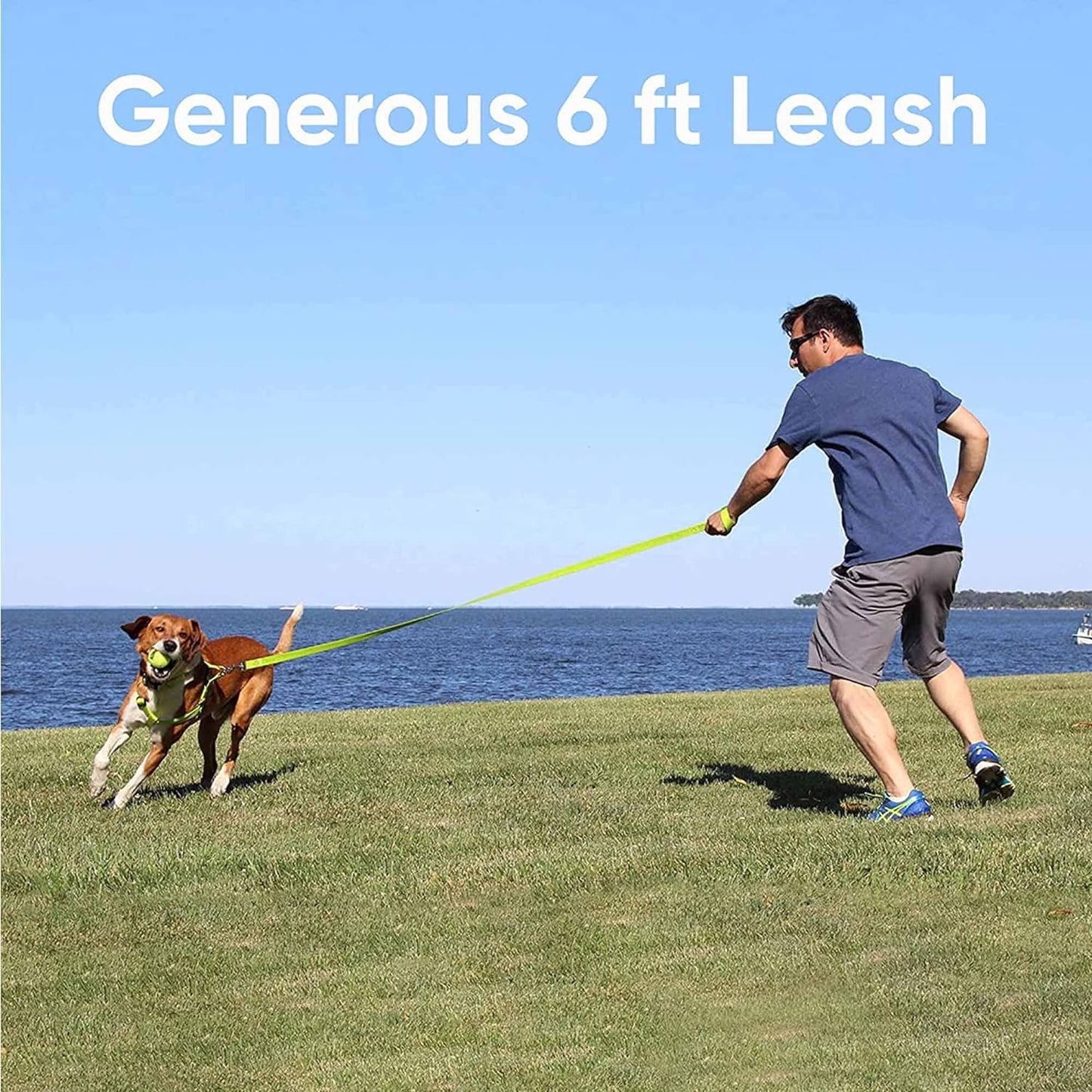 6 FT Solid Color Leash Puppy Leash Dog Leash Comfortable Handle Dog Training Leash 6 Ft Dog Leash Medium Dog Leash/Large Dog Leash Green Dog Leash
