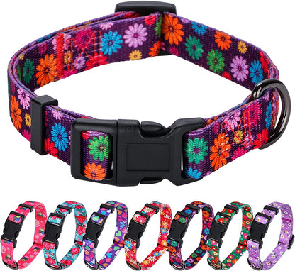 Girl Dog Collars Fall Daisy Pattern, Colorful Flowers Print, Female Collar, Dark Purple, Large