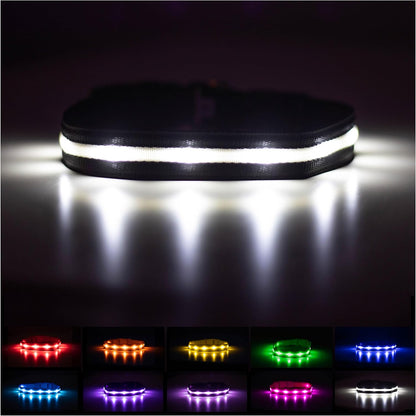 Light up Dog Collar - the Original LED Dog Collar - USB Rechargeable - Waterproof - 1,000 Feet of Visibility - Dog Collar Light for Small, Medium, Large Dogs - US Brand
