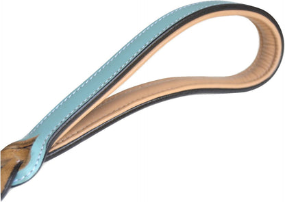 Heavy Duty Leather Braided Dog Leash, 6 Ft X 3/4 Inch, Turquoise with Beige Padded Handle