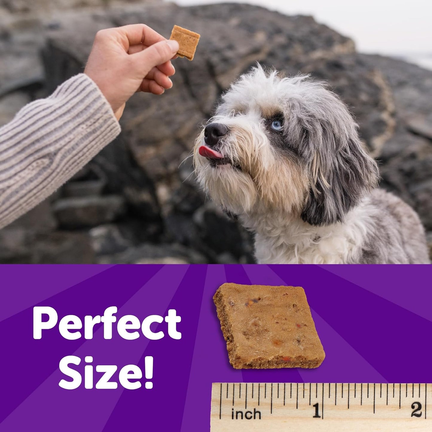 Rewarding Life Dog Treats, Natural, Training Treat, Grain Free, Soft Chicken & Lamb (6 Ounce Bag)