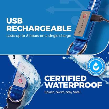 Light up Dog Collar - the Original LED Dog Collar - USB Rechargeable - Waterproof - 1,000 Feet of Visibility - Dog Collar Light for Small, Medium, Large Dogs - US Brand