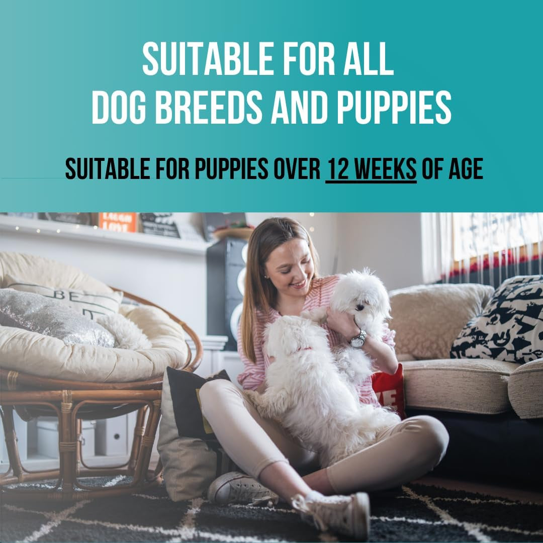 1 Gallon Tearless Puppy Shampoo and Conditioner - Anti-Itch Dog Shampoo Sensitive Skin - Coconut Oil Oatmeal Pet Shampoo for Puppies - Made in the USA