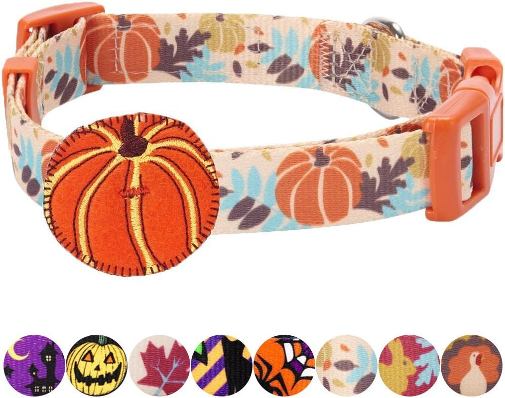 Thanksgiving Dog Collar - Adjustable Fall Pumpkin Puppy Collar for Small Dogs, Medium 14.5"-20" - Perfect for Holiday Enthusiasts & Family Photos - Seasonal Dog Collars