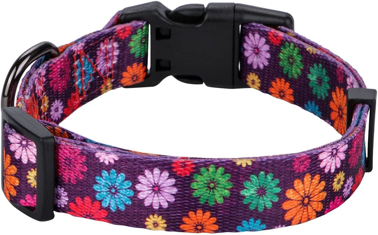 Girl Dog Collars Fall Daisy Pattern, Colorful Flowers Print, Female Collar, Dark Purple, Large