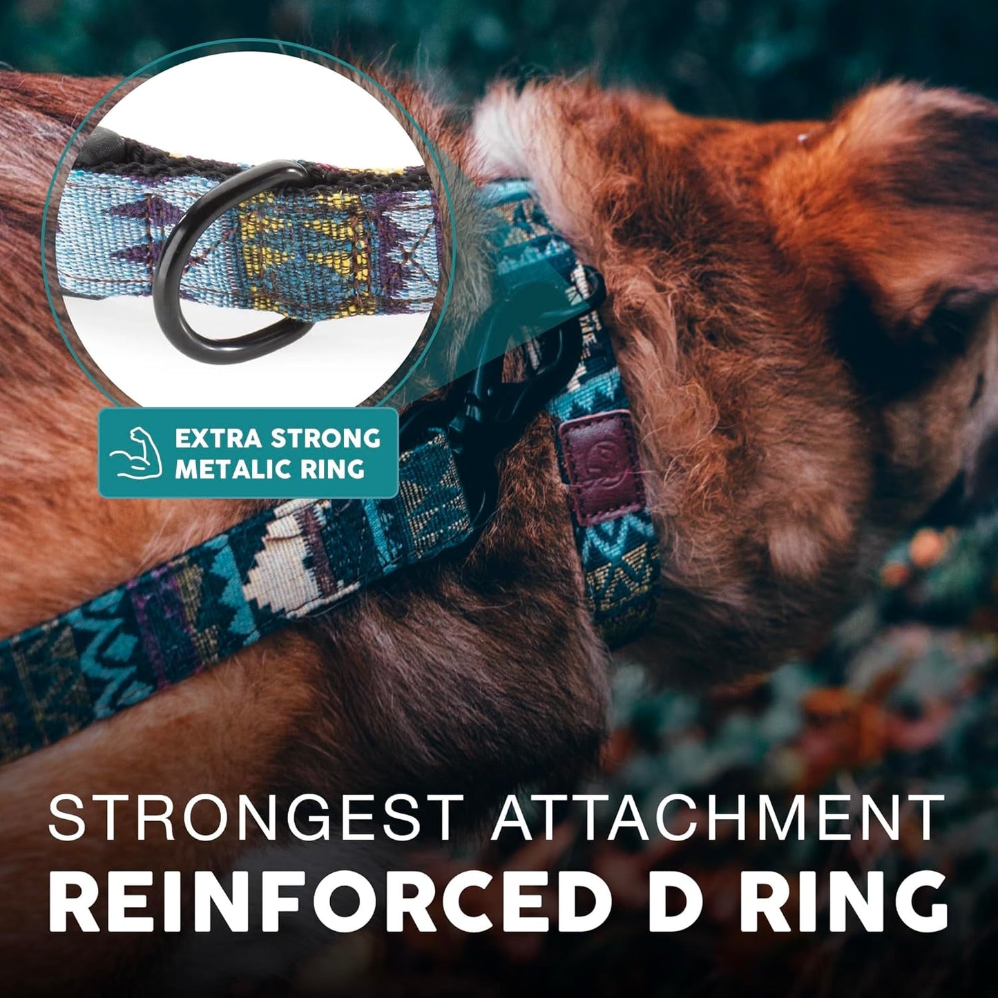 Embark Adventure Dog Collar – Stylish & Durable Nylon Dog Collars for Large Dogs, Comfortable Pet Collar, Collars for Large Breed Dogs with Strong Buckles. Adjustable Big Dog Collars for Large Dogs