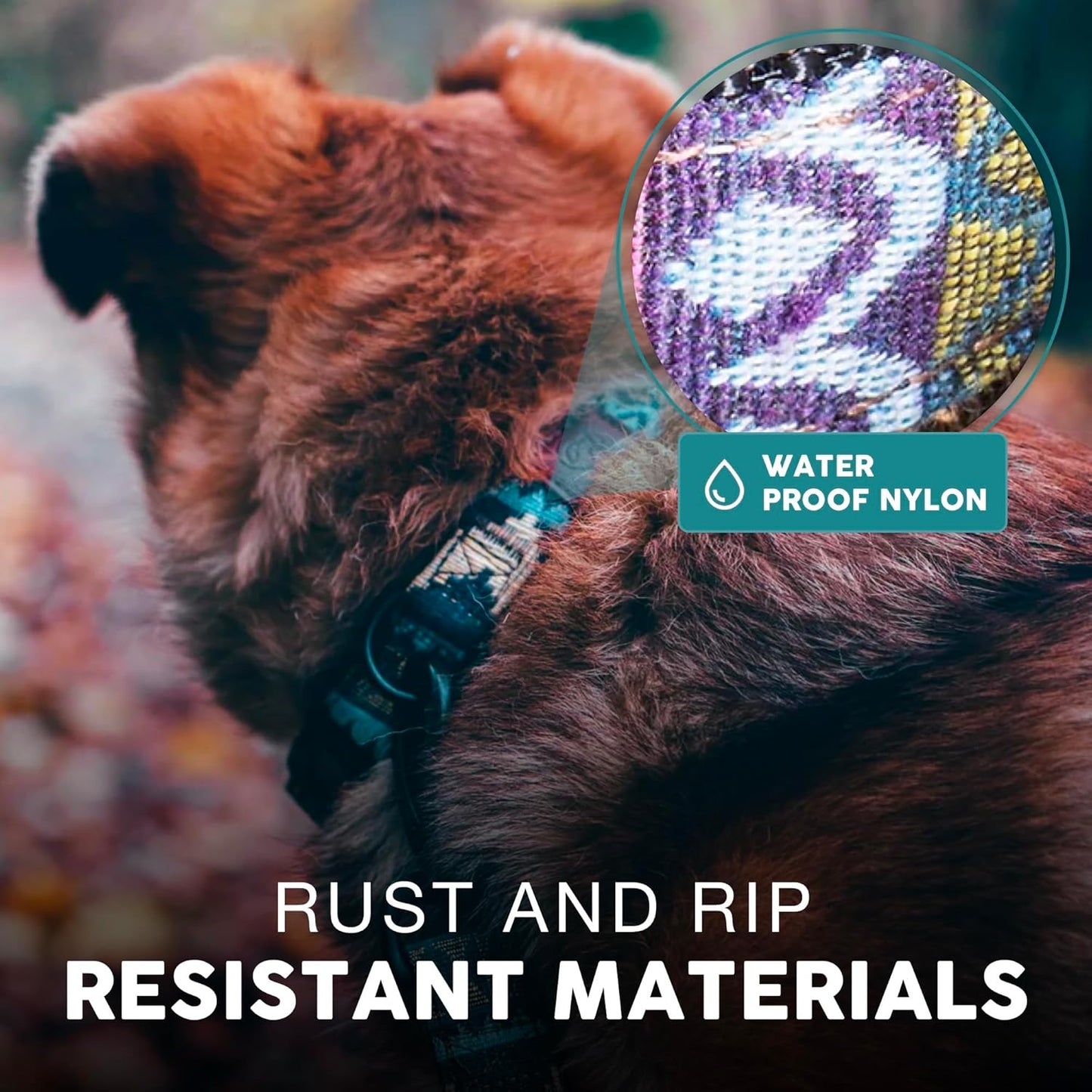 Embark Adventure Dog Collar – Stylish & Durable Nylon Dog Collars for Large Dogs, Comfortable Pet Collar, Collars for Large Breed Dogs with Strong Buckles. Adjustable Big Dog Collars for Large Dogs