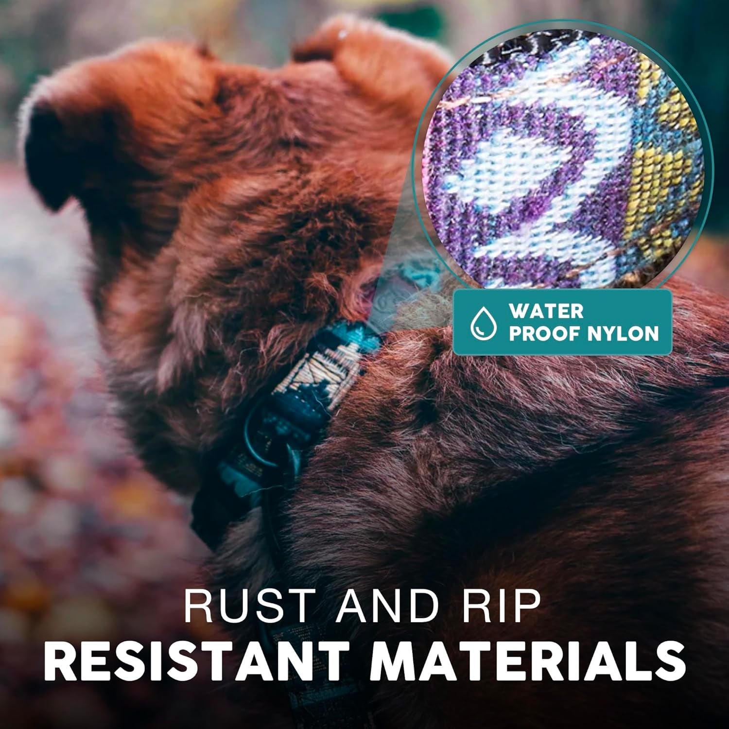 Embark Adventure Dog Collar – Stylish & Durable Nylon Dog Collars for Large Dogs, Comfortable Pet Collar, Collars for Large Breed Dogs with Strong Buckles. Adjustable Big Dog Collars for Large Dogs